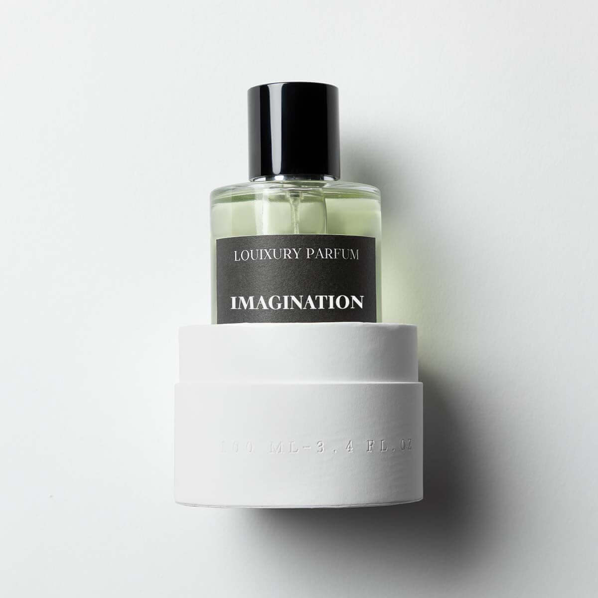 IMAGINATION